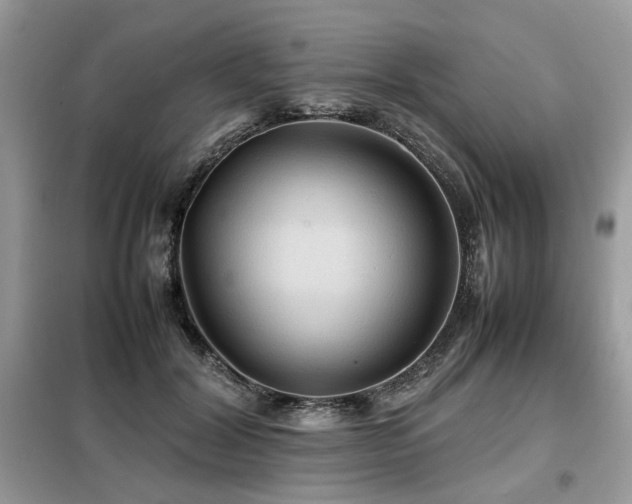 X0000099410604200805091221