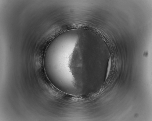 X0000099410606200805091221