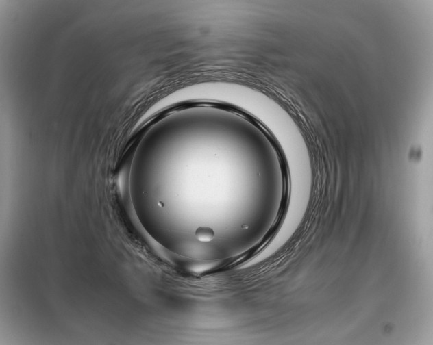 X0000099410609200805091221