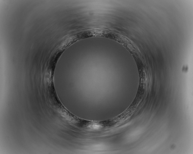 X0000099410610200805091221