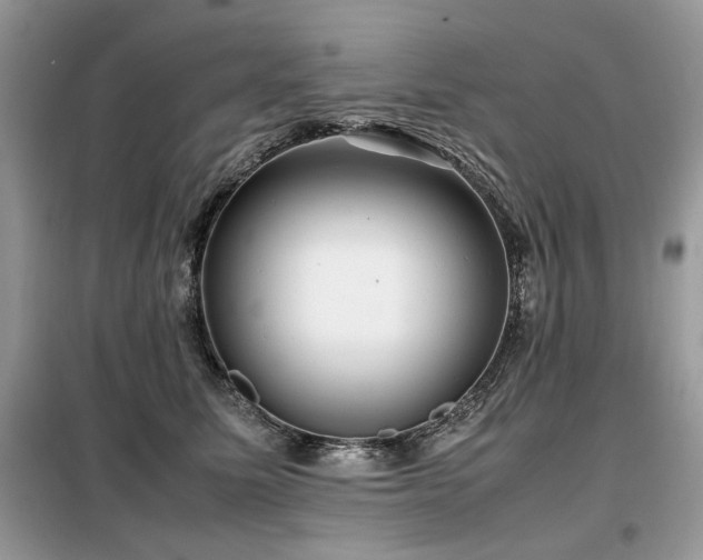 X0000099410611200805091221