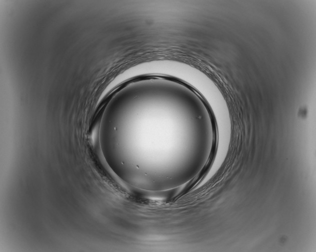 X0000099410613200805091221