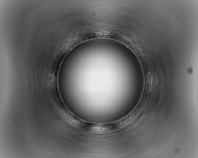 X0000099410614200805091220