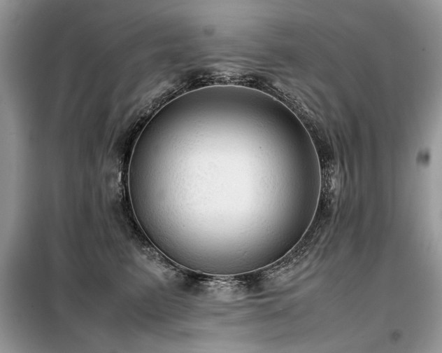 X0000099410615200805091220