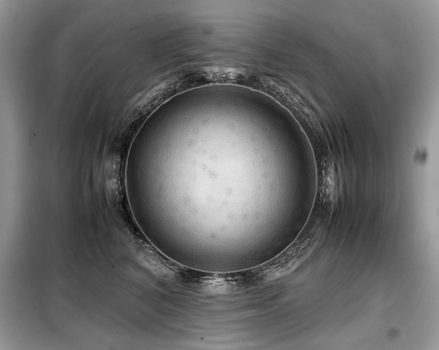 X0000099410616200805091220