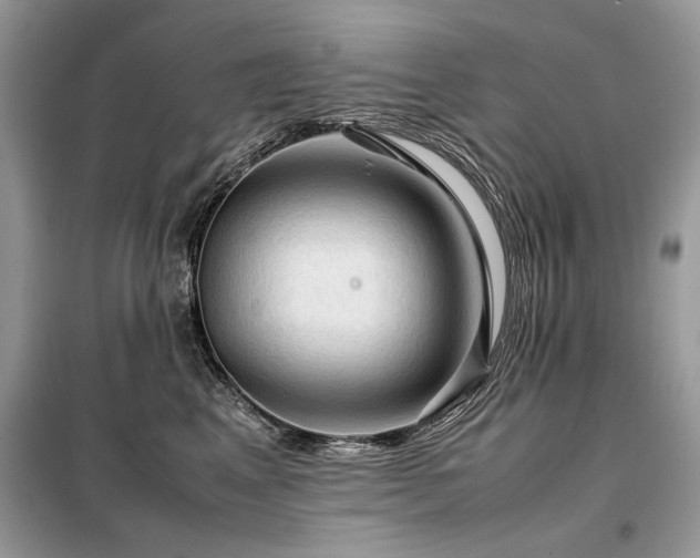 X0000099410617200805091220