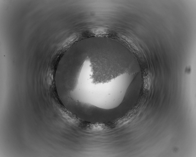 X0000099410618200805091220