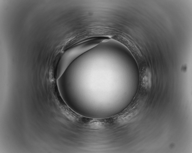 X0000099410620200805091220