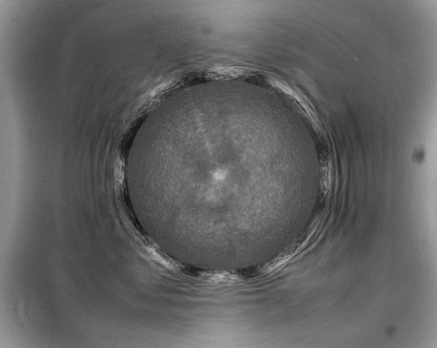 X0000099410621200805091220