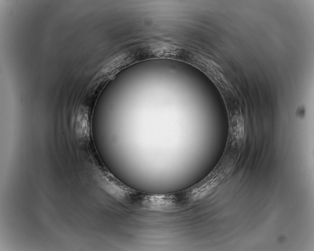 X0000099410622200805091220