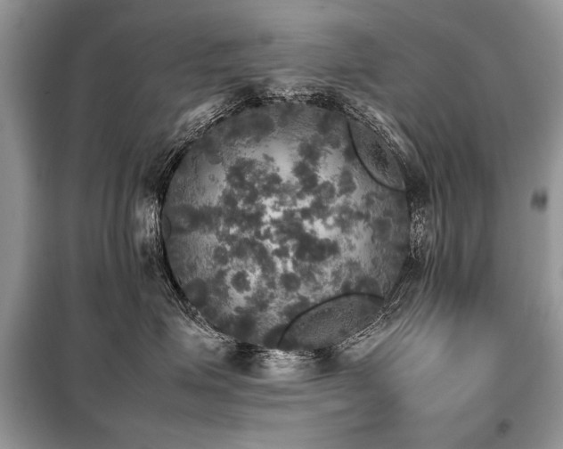 X0000099410623200805091220