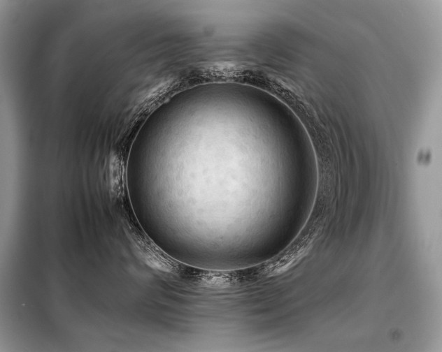 X0000099410624200805091220