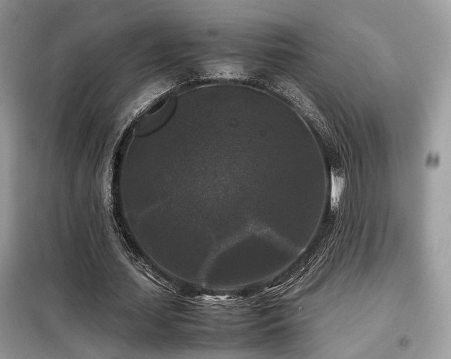 X0000099410627200805091220