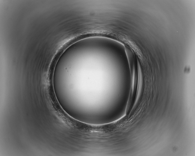 X0000099410628200805091220