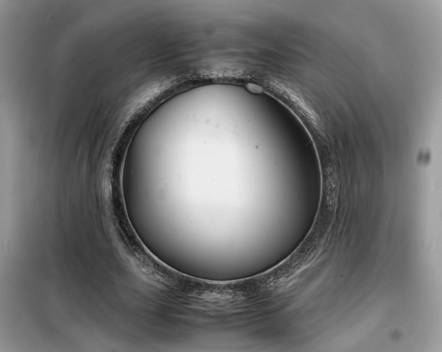 X0000099410631200805091220