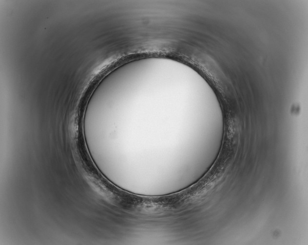 X0000099410632200805091220
