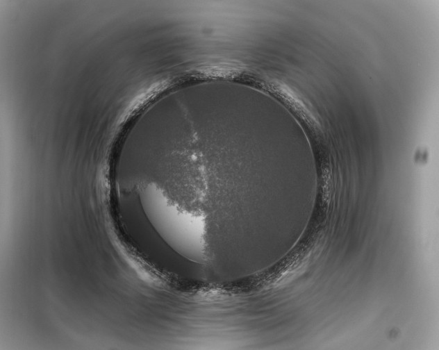 X0000099410634200805091220