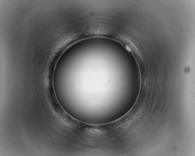 X0000099410635200805091220