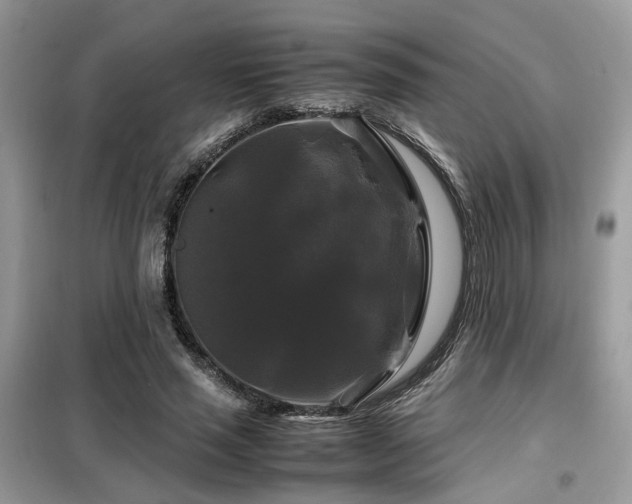 X0000099410637200805091220