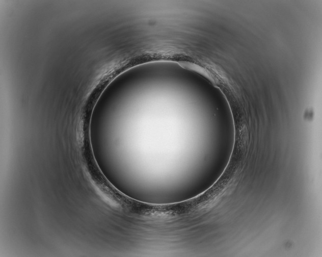 X0000099410638200805091220