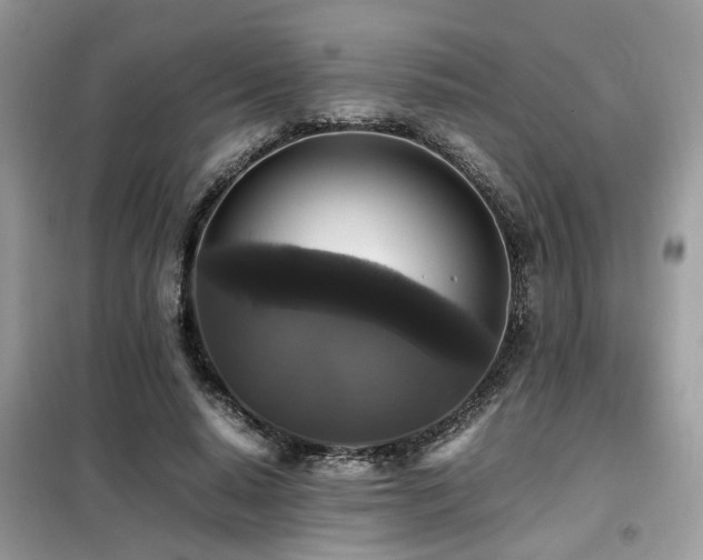 X0000099410640200805091220