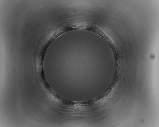 X0000099410641200805091220