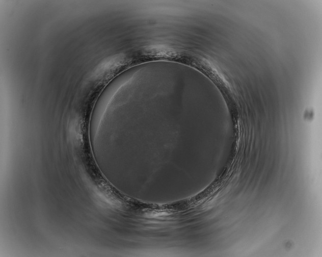 X0000099410643200805091220