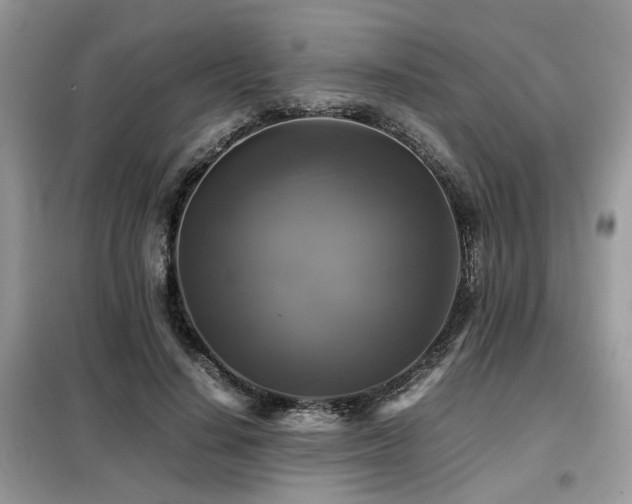 X0000099410644200805091220