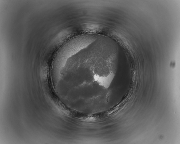 X0000099410647200805091220