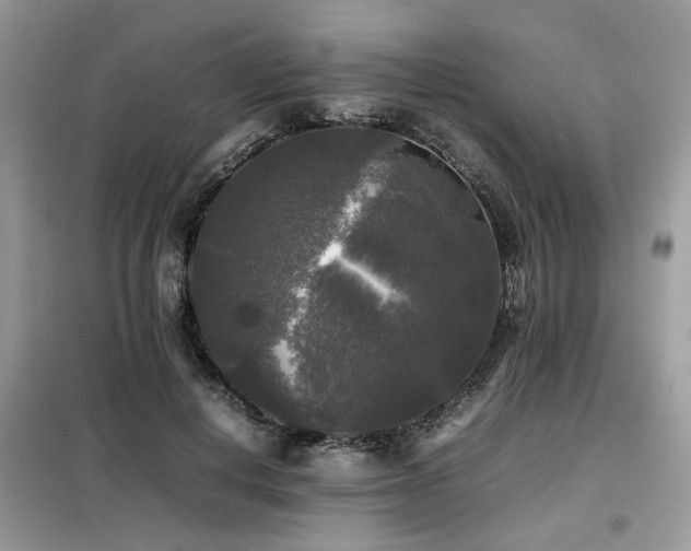 X0000099410648200805091220