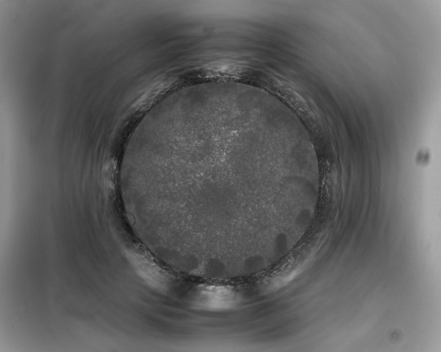 X0000099410649200805091220