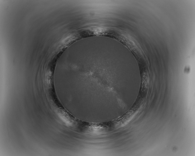 X0000099410650200805091220