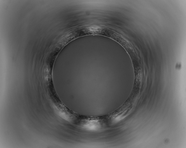 X0000099410651200805091220