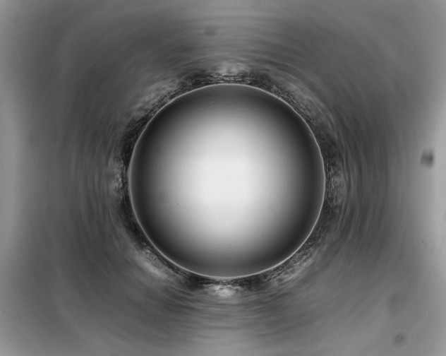 X0000099410654200805091220