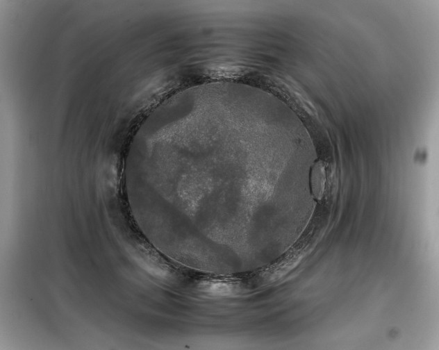 X0000099410655200805091220