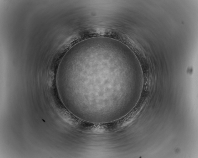 X0000099410656200805091220