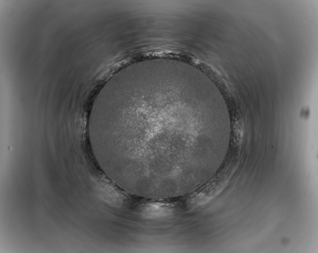 X0000099410657200805091220