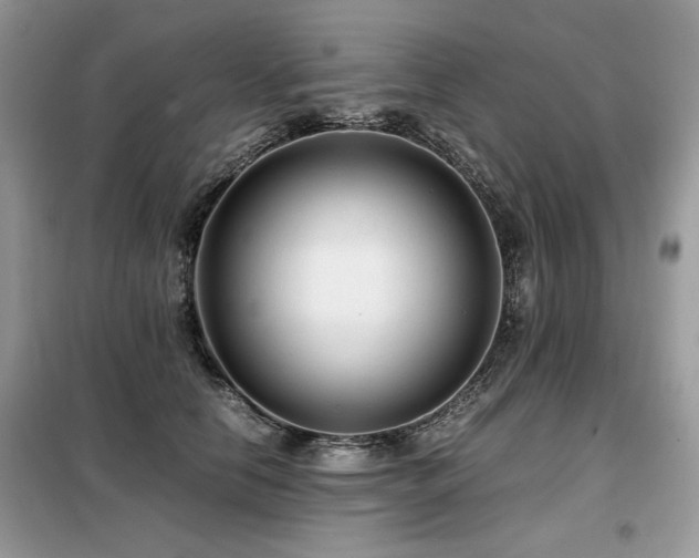 X0000099410658200805091220