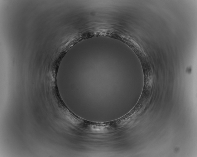 X0000099410661200805091220