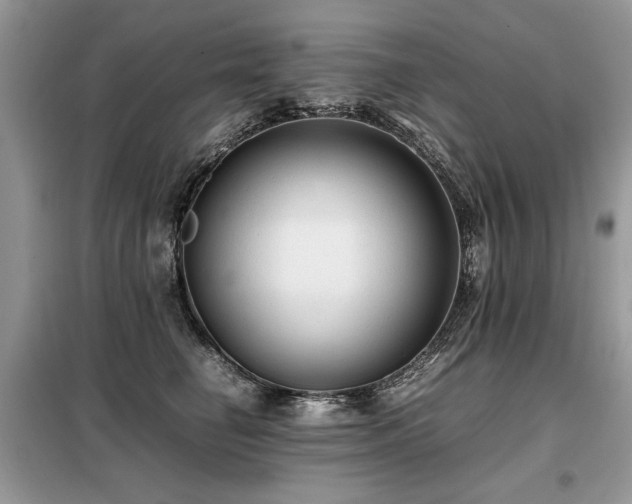 X0000099410662200805091220