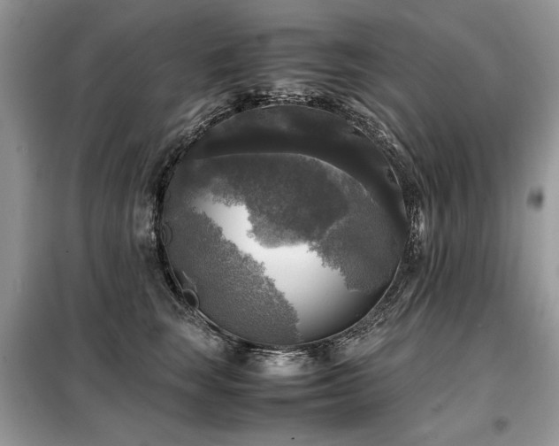 X0000099410663200805091220