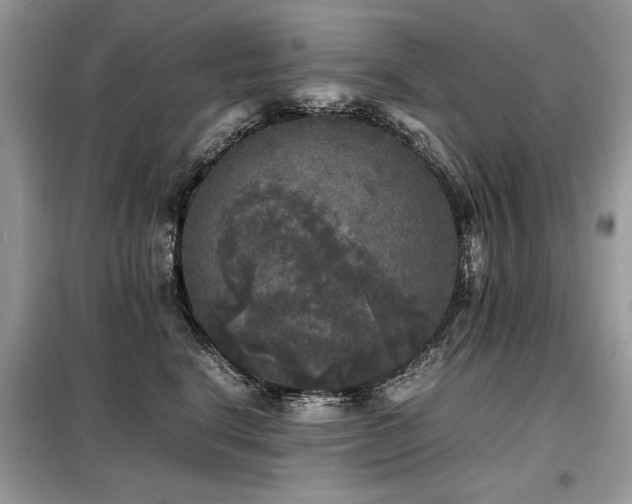 X0000099410664200805091220