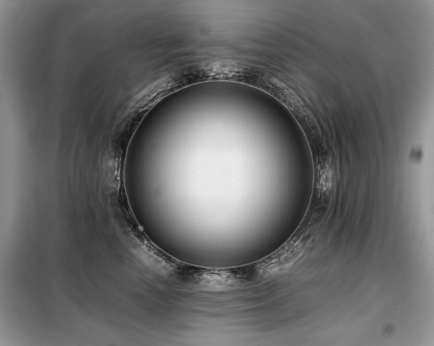 X0000099410666200805091220