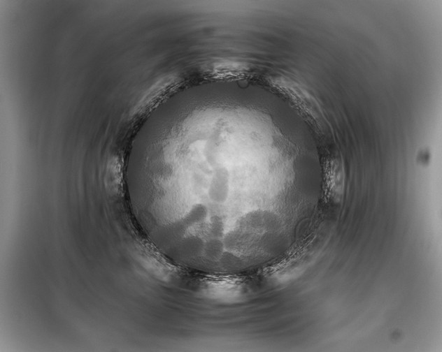 X0000099410667200805091220