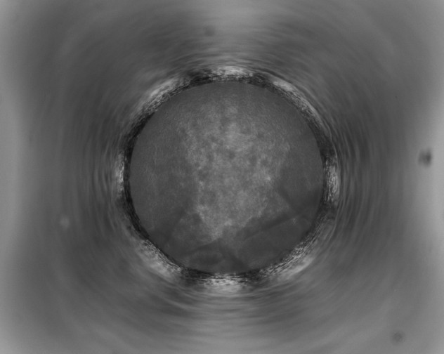 X0000099410668200805091220