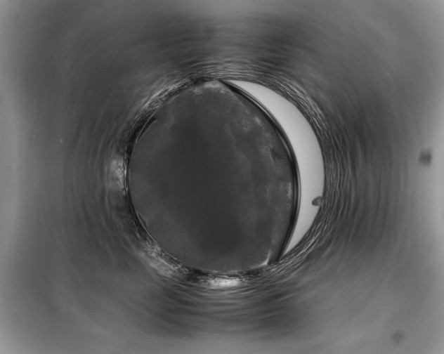 X0000099410669200805091220