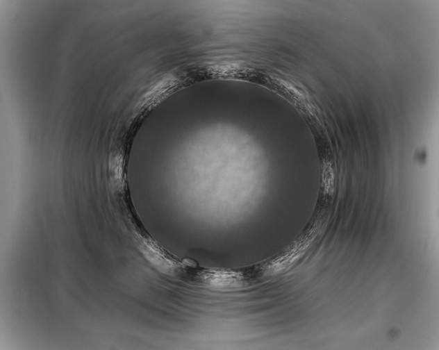 X0000099410670200805091220