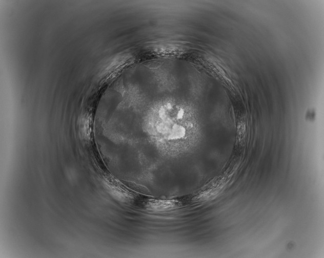 X0000099410671200805091220