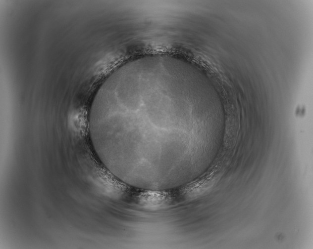 X0000099410672200805091220