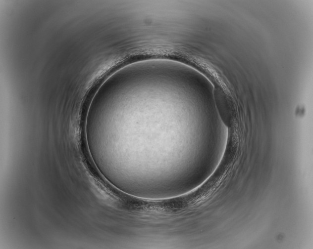 X0000099410677200805091220